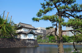 bus - Imperial Palace garden